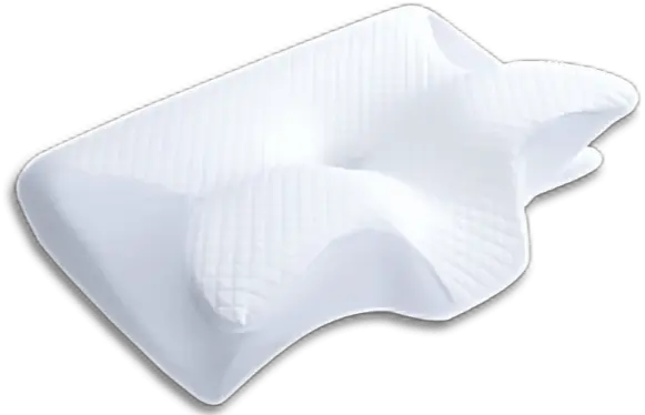Ergo Z Pillow