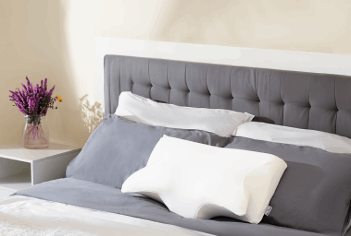 Ergo Z Pillow customer review Lily R.